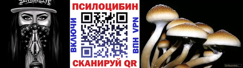 МЕГА рабочий сайт  хочу   Щёкино  Галлюциногенные грибы Cubensis 
